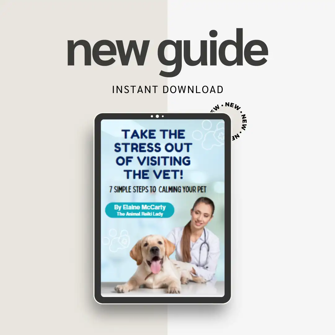 Take the Stress Out of Visiting the Vet
