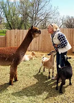 Animal Reiki & Communication