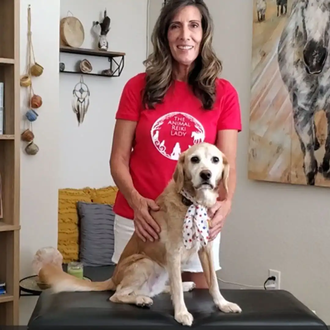 SoulPet™ Consultation