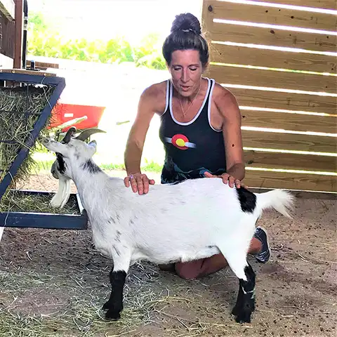 Distance Reiki Healing for Animals & People