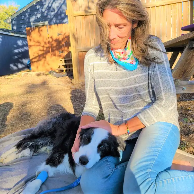 SoulPet™ Crossings