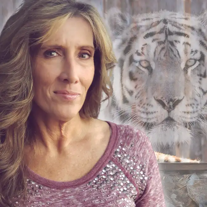 Wild Mystic: Awaken Your Animal Spirit Guide