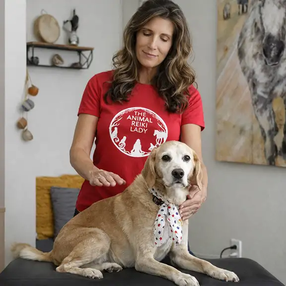 SoulPet™ Animal Reiki